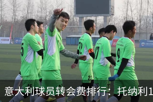意大利球员转会费排行：托纳利1.08亿欧高居榜首，雷特吉6180万欧