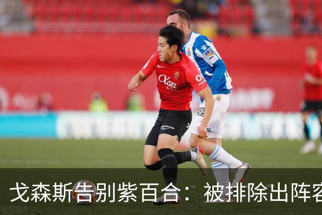 戈森斯告别紫百合：被排除出阵容令我深受打击，但将带着感激离开